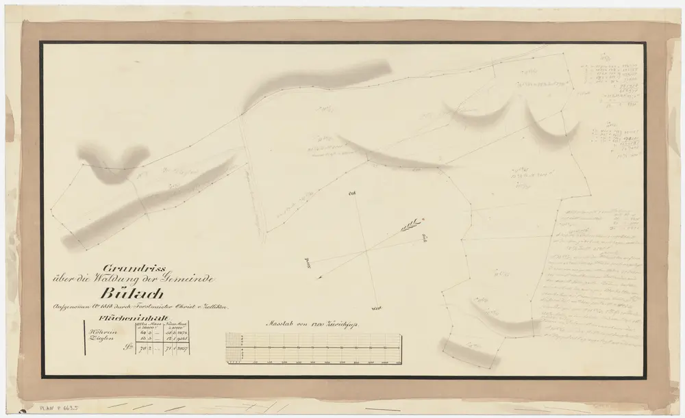 Bülach, Hochfelden: Gemeindewaldungen Bülach und Eschenmosen: Bülach: Höhrain (Höhrein), Zieglen; Grundriss