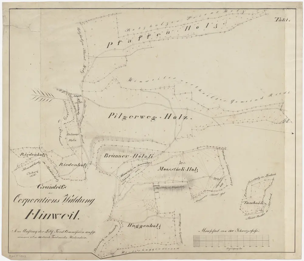 Hinwil: Genossenschaftswaldung: Riedenholz, Brunner-Hölzli, Pfaffenwegholz, Pilgerwegholz, Moosstöck, Hagenholz (Haggenholz), Tambach; Grundriss (Tab. I)