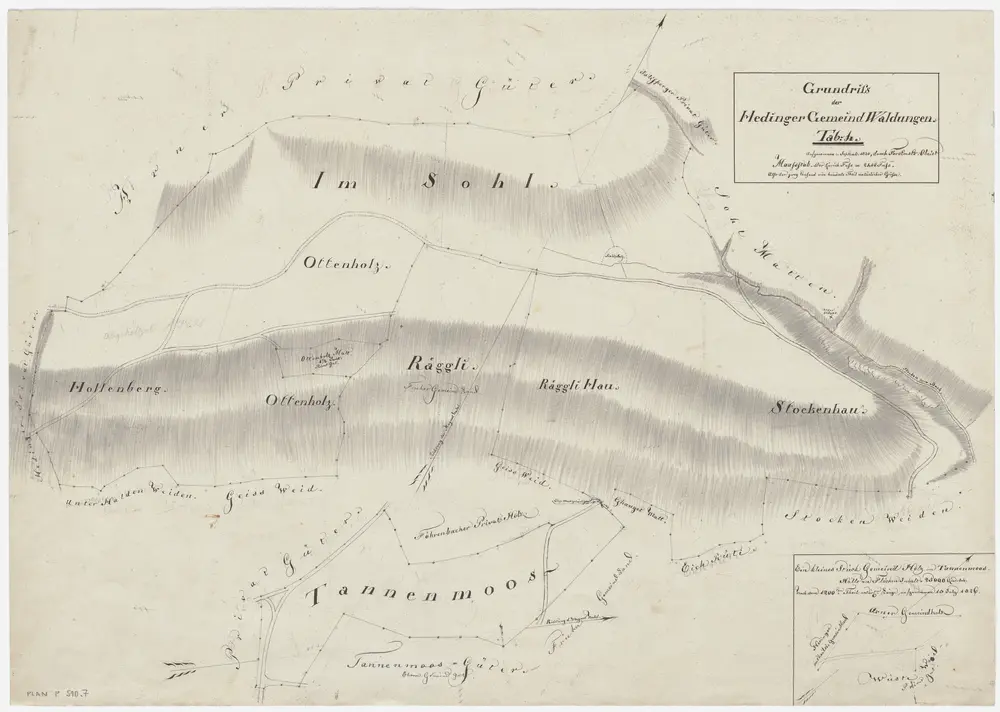 Hedingen: Gemeinde- und Genossenschaftswaldungen: Gemeindewaldungen Holenberghau, Ottenholzhau, Räggliholz, Stockenhau, Tannenmoos, Sol; Grundrisse (Tab. 4)