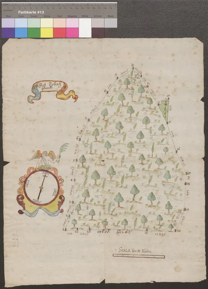 HZAN GA 100_Nr. 426_ : Weikersheim; "Das Hollach genannt" [Waldkarte];[J.M.W.];50 Ruten = 9,3 cm;35,5 x 43 cm; Norden oben;Papier; Wasserfarben; Einteilung in Drei- und Vierecke zur Vermessung; Grenzsteine nummeriert.