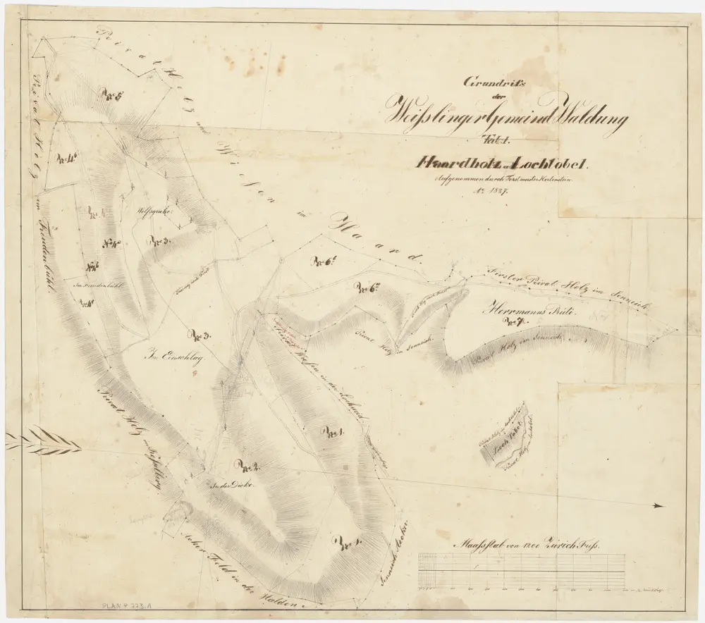 Weisslingen: Gemeindewaldung bzw. Genossenschaftswaldung: Gemeindewaldungen Lochtobel, Hardholz (Haardholz) mit Wolfgrueb (Wolfsgrueb), Freudenbühl, Einschlag, Dicki (Dicke), Hermannsrüti (Herrmanns Rüti); Grundrisse (Tab. I)