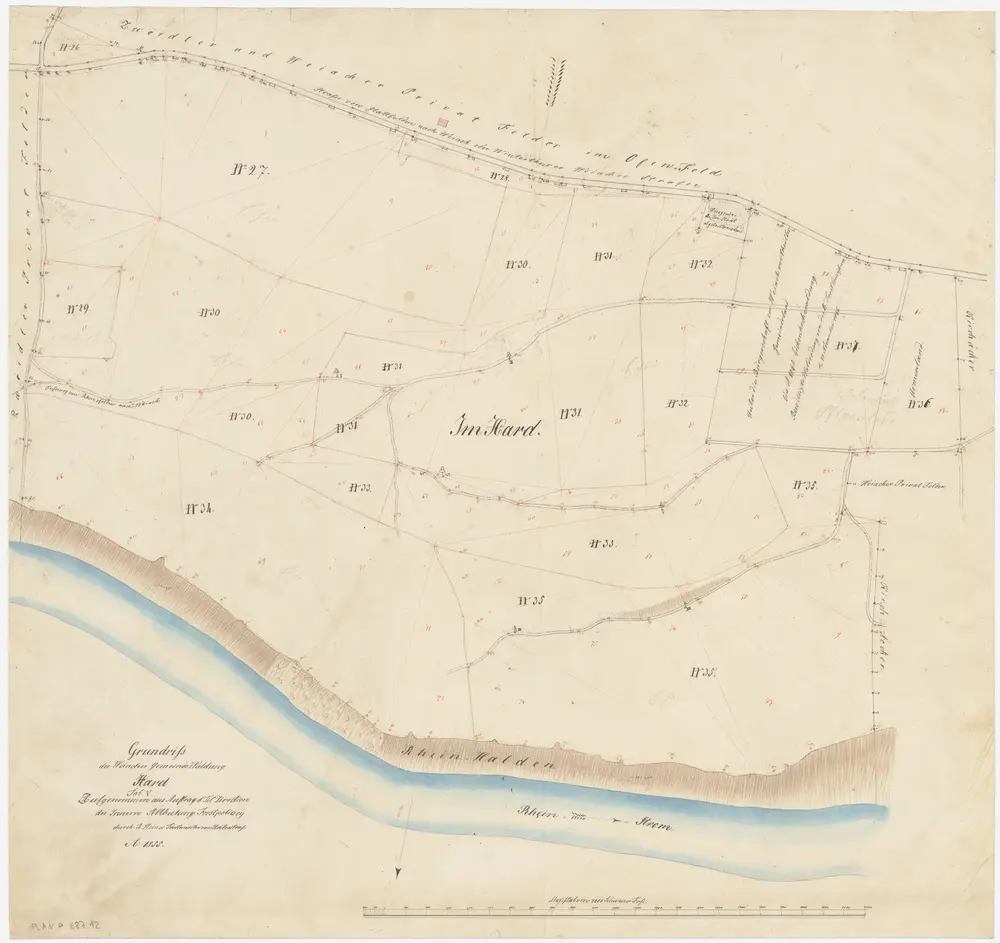 Weiach: Gemeindewaldung: Hard; Grundriss (Tab. V)