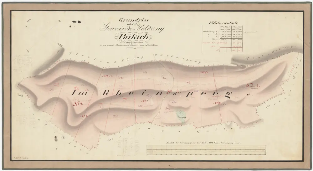 Bülach, Hochfelden: Gemeindewaldungen Bülach und Eschenmosen: Bülach: Rhinsberg (Im Rheinsperg); Grundriss