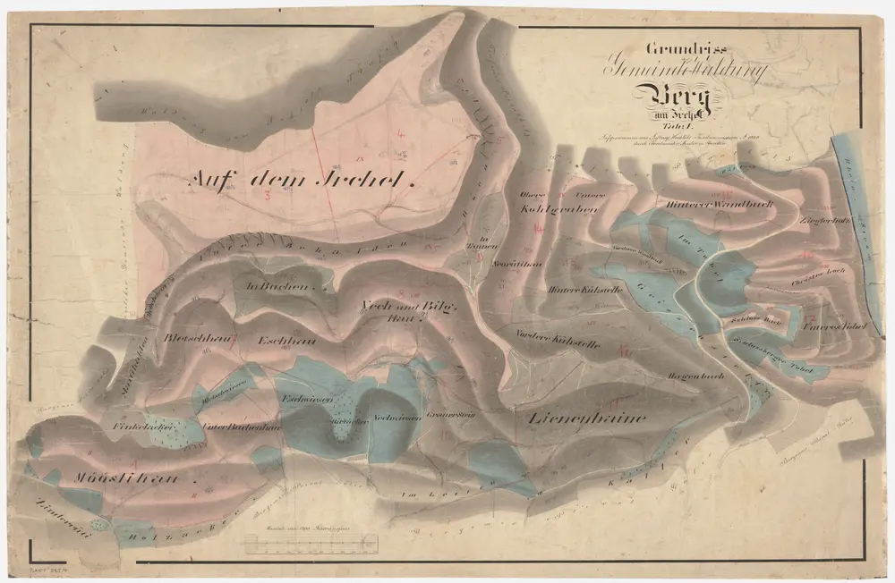 Berg am Irchel: Gemeindewaldung: Lenenheini (Lienenhaine), Neurütihau, Cholgruben, Hagenbuch, Zieglerholz, Jöslirain, Buechen, Mösli, Bilghau, Esch, Fäch (Vech), Mattihalden, Blettschhau; Grundriss (Tab. I)