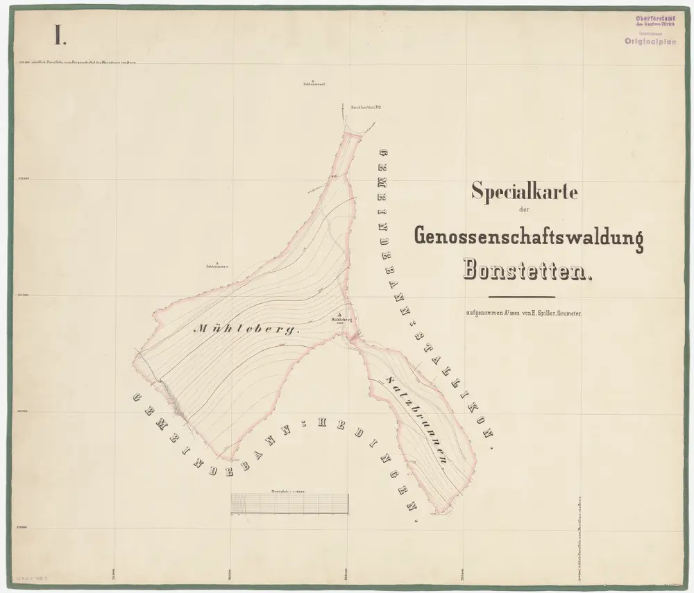 Bonstetten: Genossenschaftswaldung: Müliberg (Mühleberg) und Salzbrunnen; Grundriss (Blatt I)