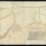 HZAN GA 100_Nr. 29_ : Baumerlenbach und Ohrnberg; "Gemeinschaftlicher Forst ...";ohne Verfasser; 60 Ruten = 14 cm;160 x 62 cm; Norden oben;Papier auf Leinwand; Federzeichnung; Wald, auch Baumbestand in Wasserfarben; Täler schraffiert.