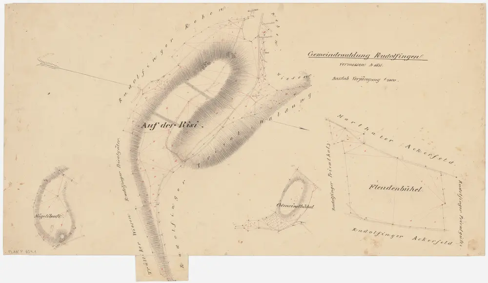Trüllikon, Marthalen: Gemeindewaldung Rudolfingen: Auf der Risi, Nägelibuck, Fleudenbüel (Fleudenbühel), Gemeindebüel (Gemeindebühel); Grundrisse