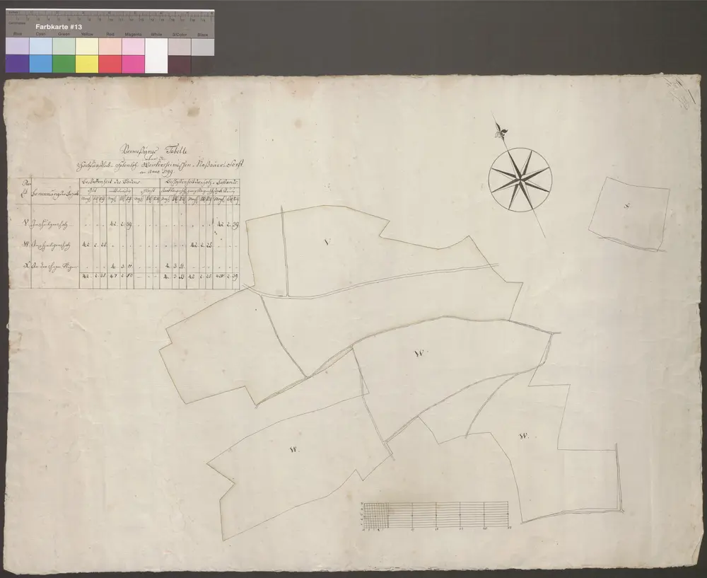 HZAN GA 100_Nr. 432_ : Weikersheim; "Vermessungstabelle ... des Naussauer Forstes";ohne Verfasser;60 Ruten = 14 cm;68 x 48 cm; Norden links;Papier; Federzeichnung; Grenzen in Wasserfarben; links oben Beschreibung.