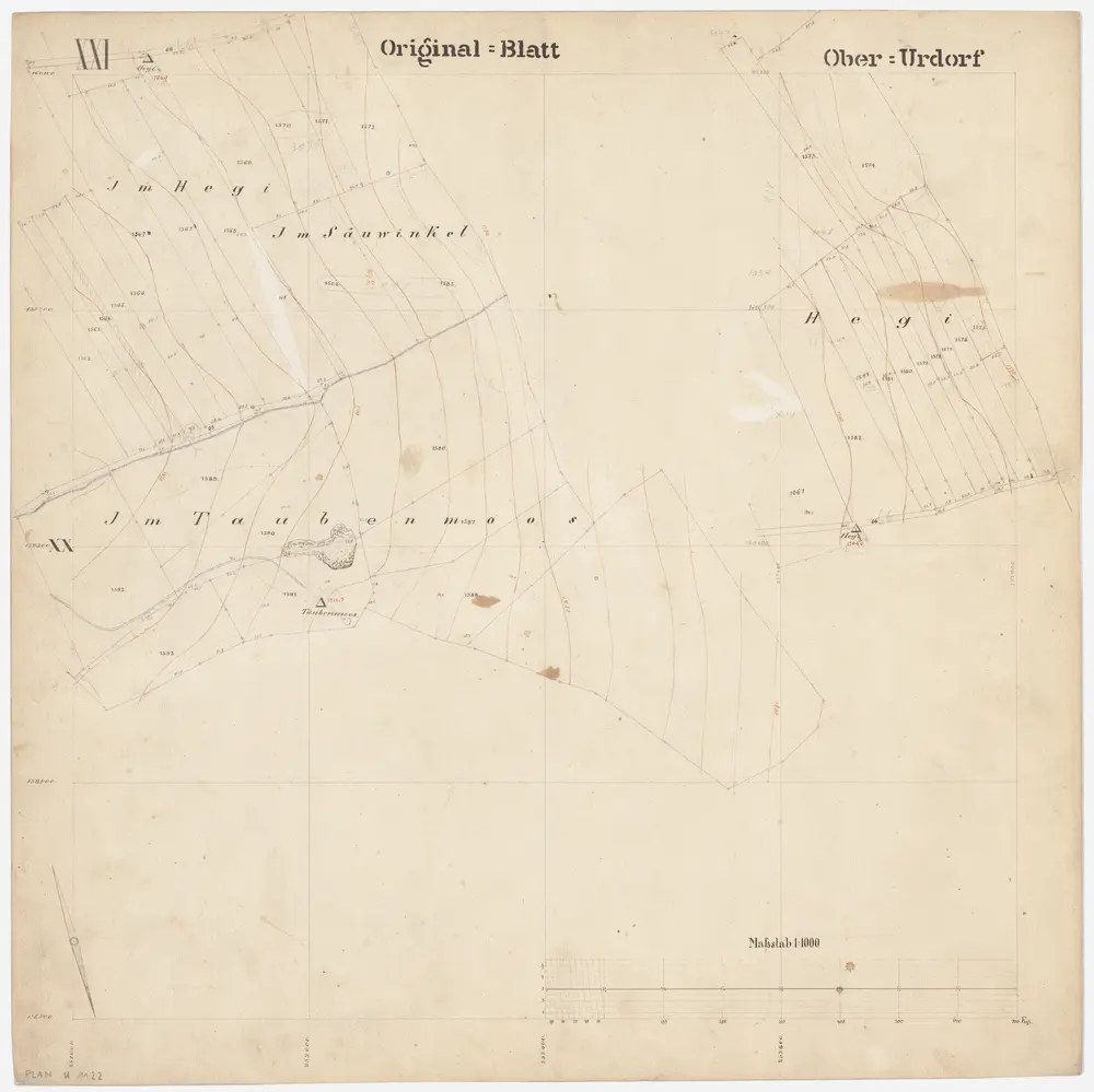 Oberurdorf: Gemeinde; Katasterpläne: Blatt XXI: Im Hegi, Im Säuwinkel und Im Tubenmoos (Taubenmoos); Situationsplan