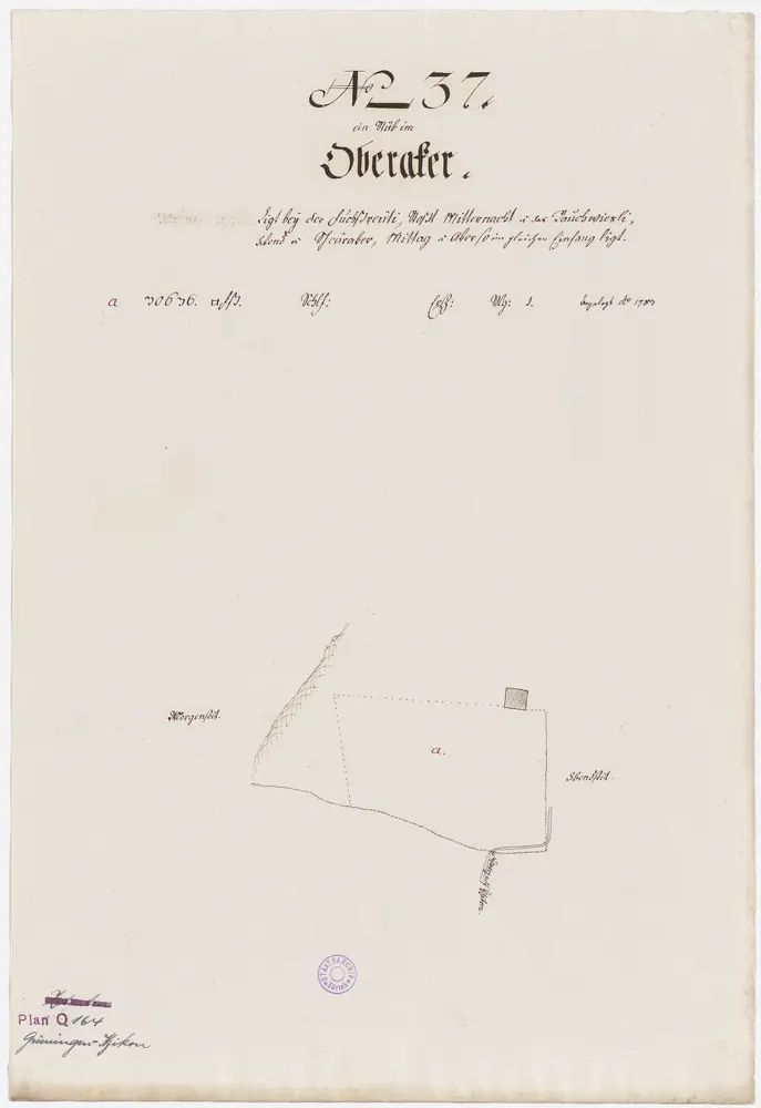 Grüningen-Itzikon, Nr. 37: Zehntengut im Oberacker, südlich von Itzikon gelegen; Grundriss