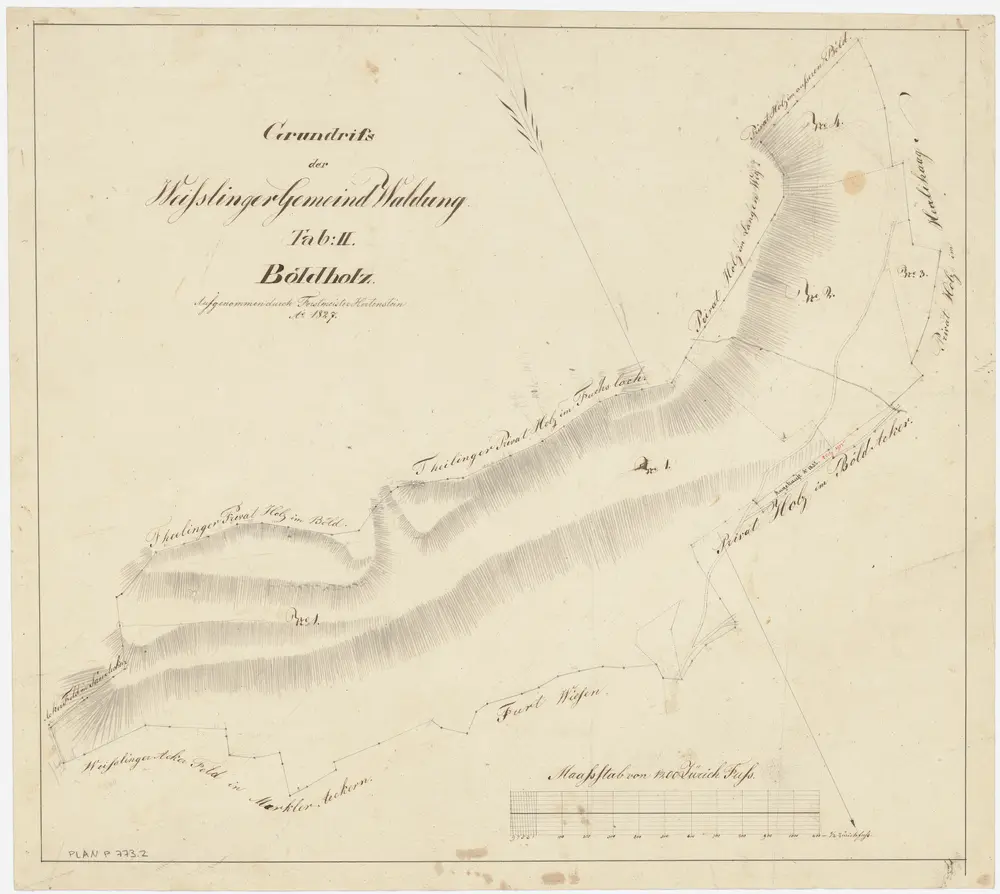 Weisslingen: Gemeindewaldung bzw. Genossenschaftswaldung: Gemeindewaldung Böldholz; Grundriss (Tab. II)