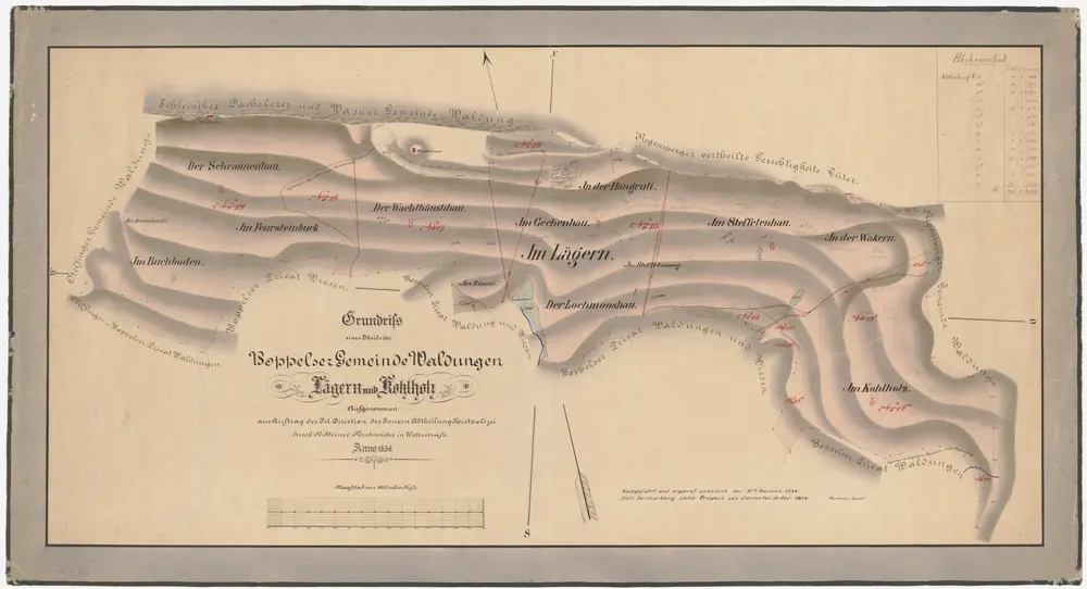 Boppelsen: Gemeindewaldung: Cholzholz (Kohlholz), Wackeren (Wakern), Stäffetenhau (Steffetenau), Lägern, Hangrüti (Hängrüti), Gechenhau, Lochmooshau, Wachthüslihau (Wachthäuslihau), Fürstenbuck (Feursteinbuck), Schrannenhau, Buechboden (Buchboden); Grundriss,