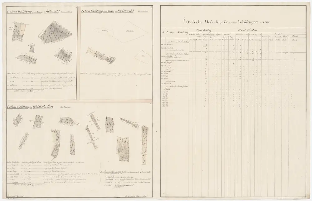 Küsnacht, Wollishofen: Dem Amt Küsnacht gehörende Lehenwaldungen; Grundrisse (IX. Planche)