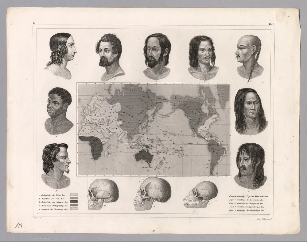 Plate 119.  The Five Races of (Mankind) Blumenbach.  View:  Anatomy including Faces and Skulls.