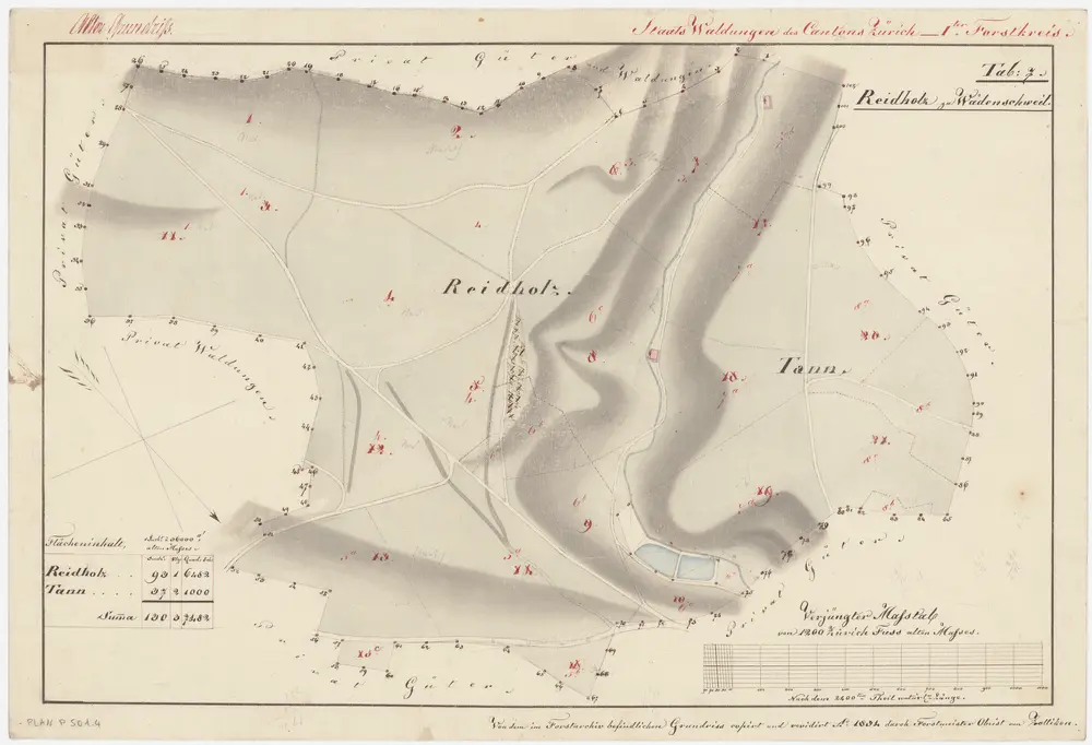 Schönenberg, Richterswil, Wädenswil: Staatswaldungen: Wädenswil: Reidholz, Tann; Grundriss (Tab. 7)