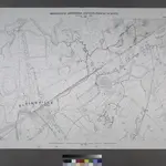 Sheet No. 77. [Includes Eltingville, Amboy Road, Wilson Avenue, Eltingville Boulevard, Lindenwood Road, Shelley Lane and Colon Avenue.]; Borough of Richmond, Topographical Survey.