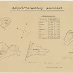 Nürensdorf: Genossenschafts- und Zivilgemeindewaldungen Nürensdorf: Genossenschaftswaldung Nürensdorf mit Homberg, Luchti, Engmoos, Mülberg (Mühlberg); Grundrisse