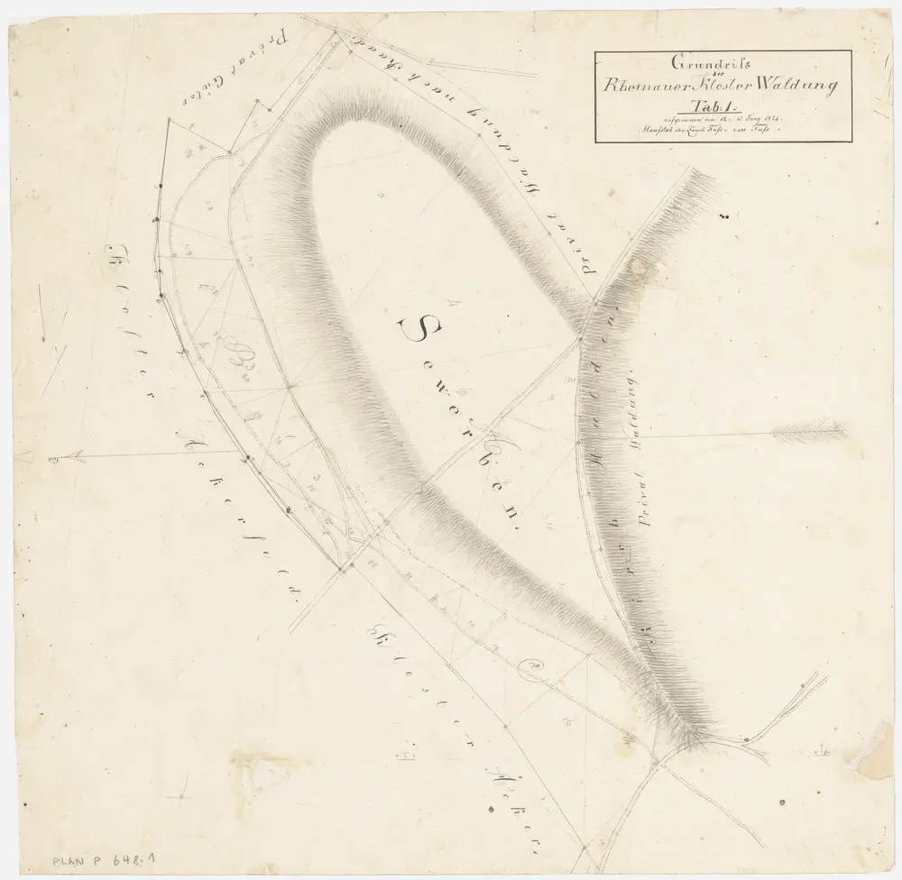 Rheinau: Gemeinde-, Kloster- und Genossenschaftswaldungen: Klosterwaldung Seewerben; Grundriss (Tab. 1)