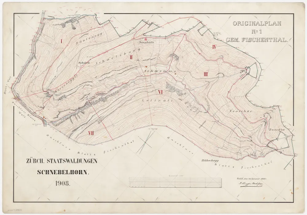 Wald, Fischenthal, Goldingen SG: Waldungen: Fischenthal: Staatswaldung Schnebelhorn; Grundriss (Originalplan Nr. 1)