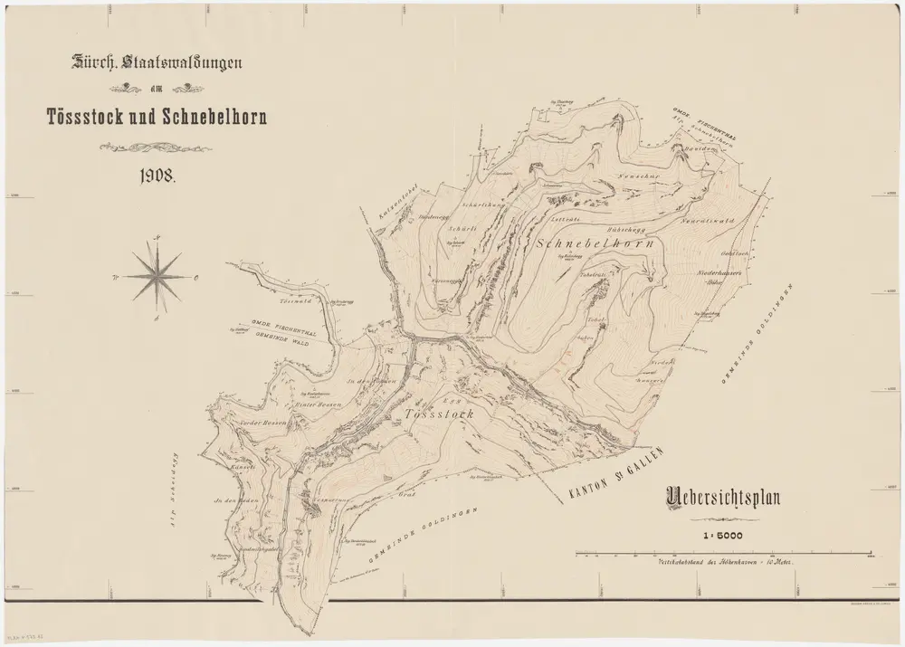 Wald, Fischenthal, Goldingen SG: Waldungen: Wald, Fischenthal: Staatswaldungen Tössstock, Schnebelhorn; Grundriss