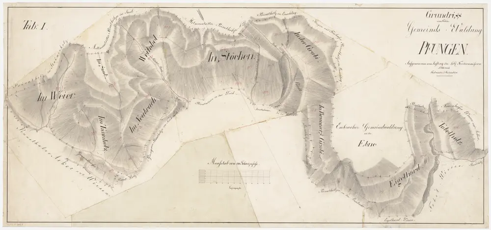 Pfungen: Gemeindewaldung: Weiher (Im Weier), Sal (Saal), Tannholz, Neubruch, Weitobel, Stöcken, Grabi, Brunnengrabi, Eigelharten, Tobelholz; Grundriss (Tab. I)