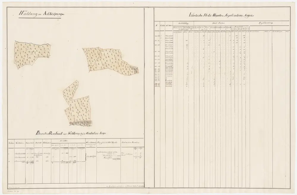 Hottingen: Dem Kornamt gehörende Waldung auf dem Adlisberg und dem Hottingerberg (Waldbezirke Ober-Öttenbacherholz, Unter-Öttenbacherholz und Hinterrütiamtsholz); Grundrisse (V. Planche)