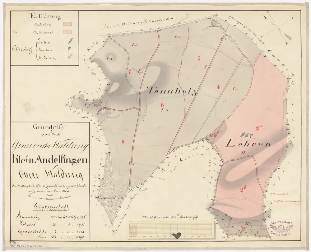 Kleinandelfingen: Gemeindewaldung: Obere Waldung mit Tannholz, Lören (Löhren), Gemeinderüti; Grundriss