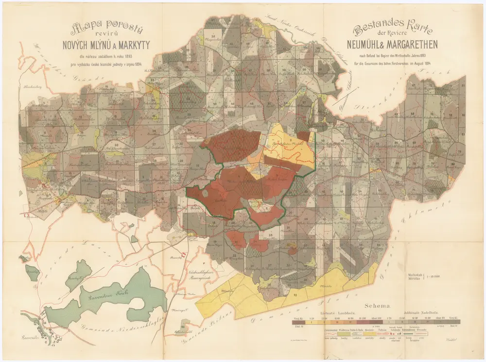 Mapa porostů revírů Nových Mlýnů a Markyty