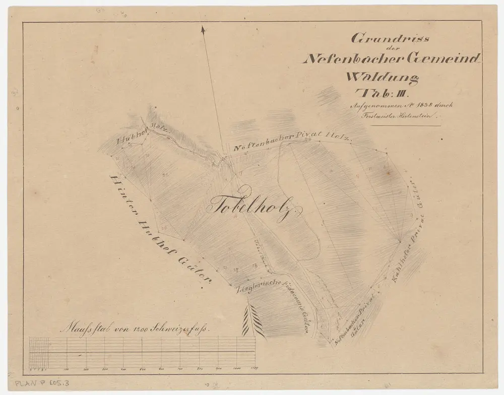 Neftenbach: Gemeindewaldung: Tobel; Grundriss (Tab. III)