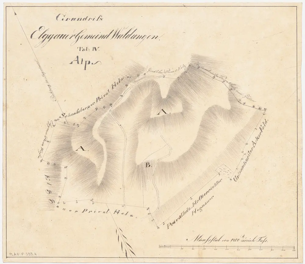 Elgg: Gemeindewaldung: Alp; Grundriss (Tab. IV)