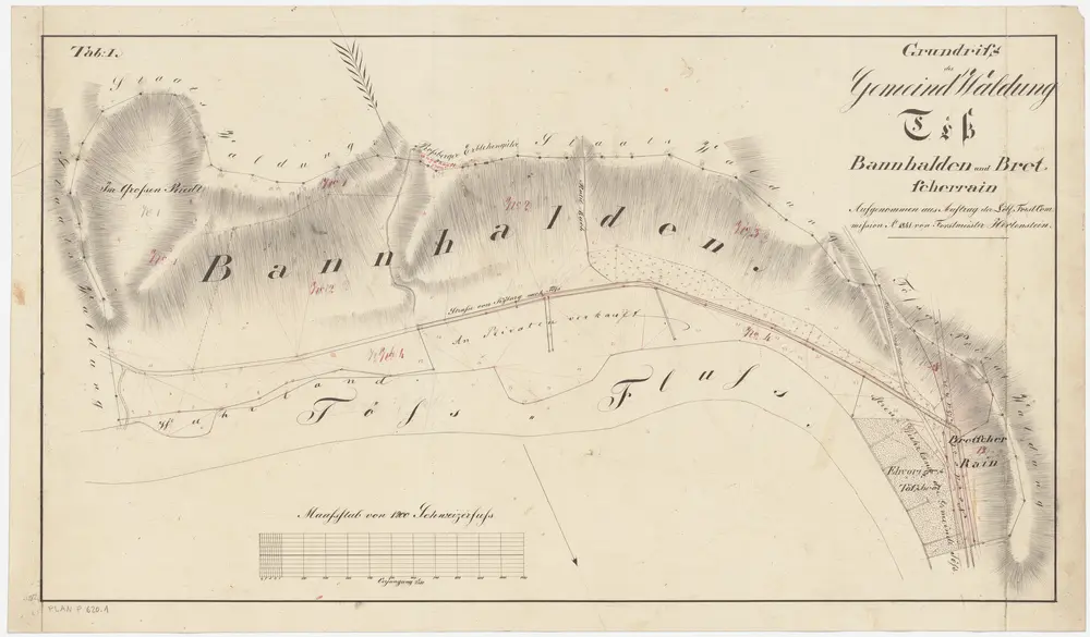 Töss: Gemeinde- und Genossenschaftswaldungen: Gemeindewaldungen Bannhalden, Bretscherrain, Riet; Grundriss (Tab. I)