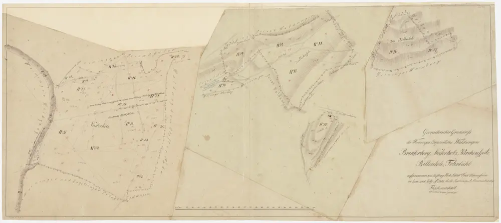 Weiningen: Genossenschaftswaldung: Bruederberg (Bruderberg), Niderholz (Niederholz), Chilenspitzberg (Kirchenspitz), Bittenloh (Bittenloch), Forbüel (Fohrbühl); Grundrisse