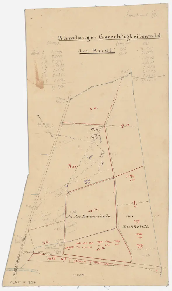 Rümlang: Der Gemeindsgerechtigkeit gehörende Waldung Riet mit Baumschuel (Baumschule) und Ziehhölzli; Grundriss