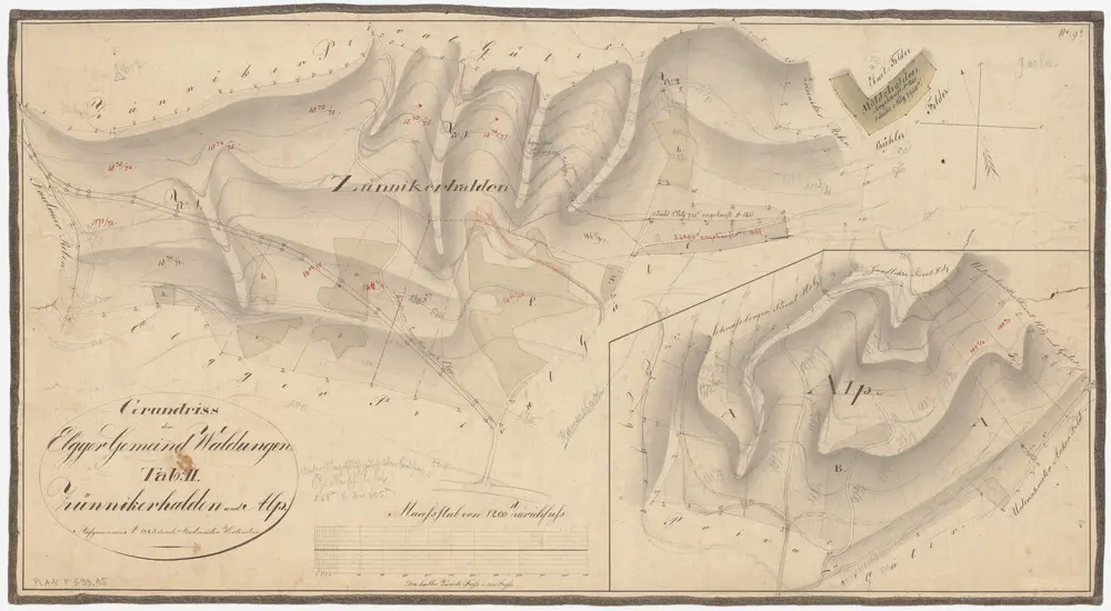 Elgg: Gemeindewaldung: Züniker Halden (Zünnikerhalden), Mühlehalden, Alp; Grundrisse (Tab. II)