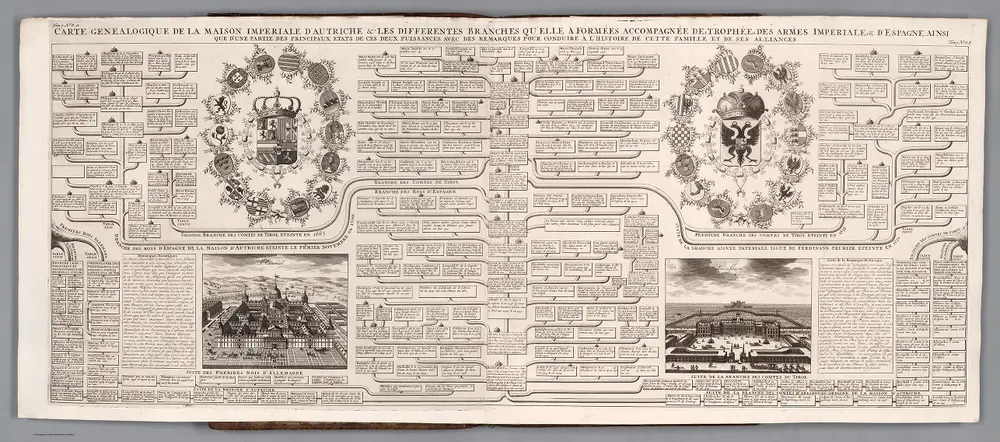 Tome 7. No. 8a-8b. Carte Genealogique de la Maison Imperiale d’Autriche