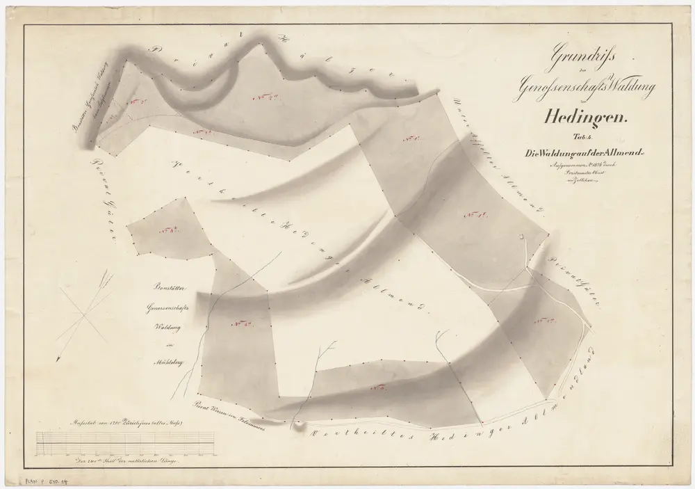 Hedingen: Gemeinde- und Genossenschaftswaldungen: Genossenschaftswaldung Allmend; Grundriss (Tab. 4)