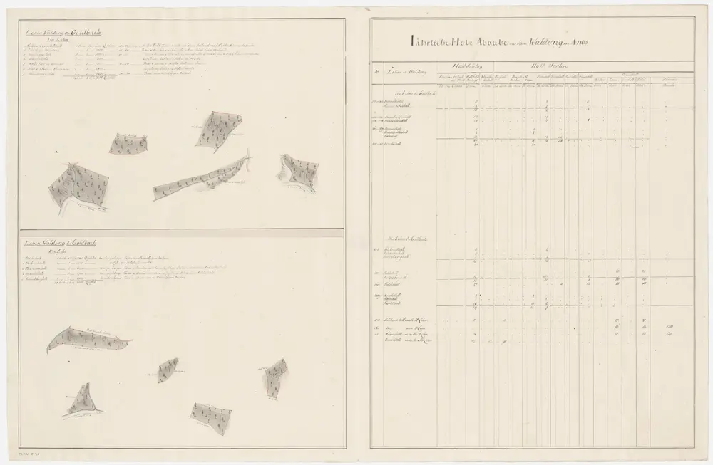 Rüti: Dem Amt Rüti gehörende Lehenwaldung bei Goldbach (I. und II. Lehen); Grundrisse (XII. Planche)