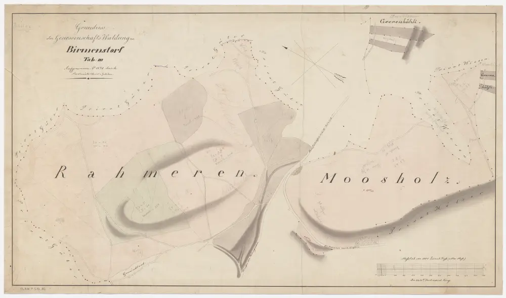 Birmensdorf: Gemeinde- und Genossenschaftswaldungen: Genossenschaftswaldungen Rameren (Rahmeren), Maas (Moosholz); Grundriss (Tab. III)