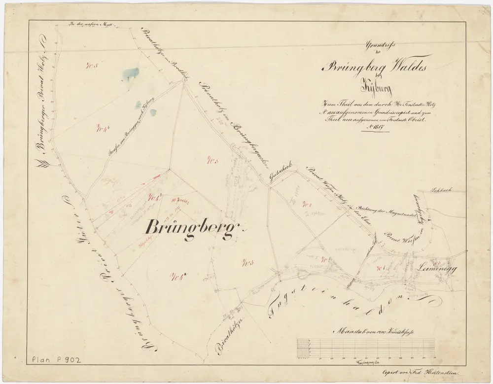 Kyburg: Brünggberg, Leimenegg; Grundriss