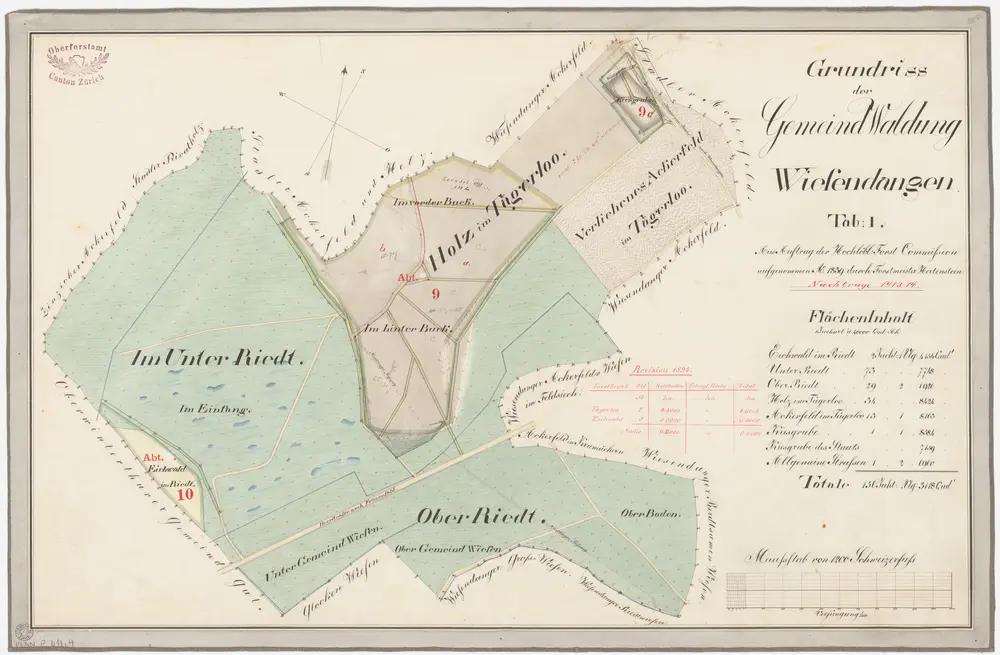 Wiesendangen, Oberwinterthur: Gemeinde- und Genossenschaftswaldungen: Wiesendangen: Gemeindewaldungen Im Unter Riet, Ifang (Einfang), Im Ober Riet, Eichwald im Riet, Holz vorder Buch, Holz hinter Buch, Tägerlen (Tägerloo); Grundriss (Tab. I)