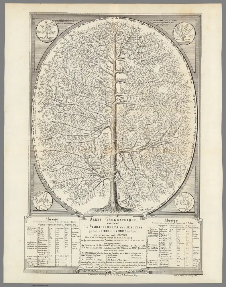 Arbre Geographique