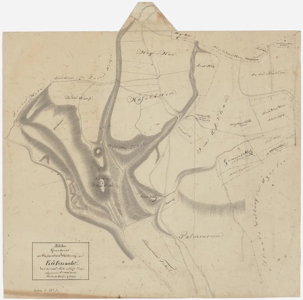 Küsnacht: Genossenschaftswaldung: Hofstetten, Palmenrain, Hegihau, Wulpwis; Grundriss (Tab. 2)