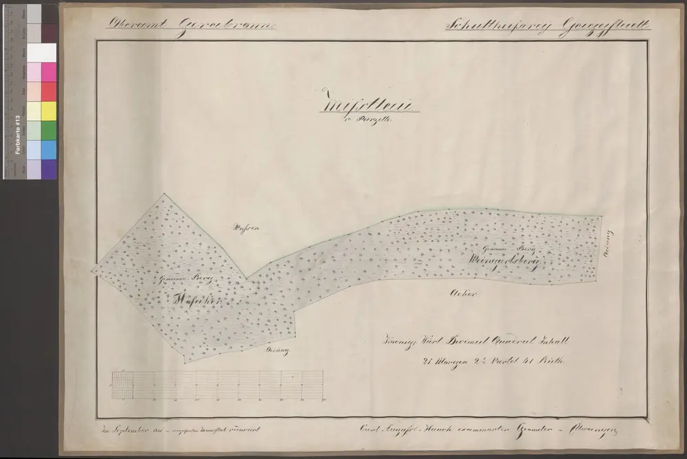 HZAN GA 100_Nr. 287_ : Mistlau [Hofäcker und Weingartsberg];K.A. von Hauch, Geometer in Ellwangen;100 Ruten = 24,6 cm;64,5 x 43,5 cm;Papier auf Leinwand; Federzeichnung; Waldstücke in Wasserfarben.