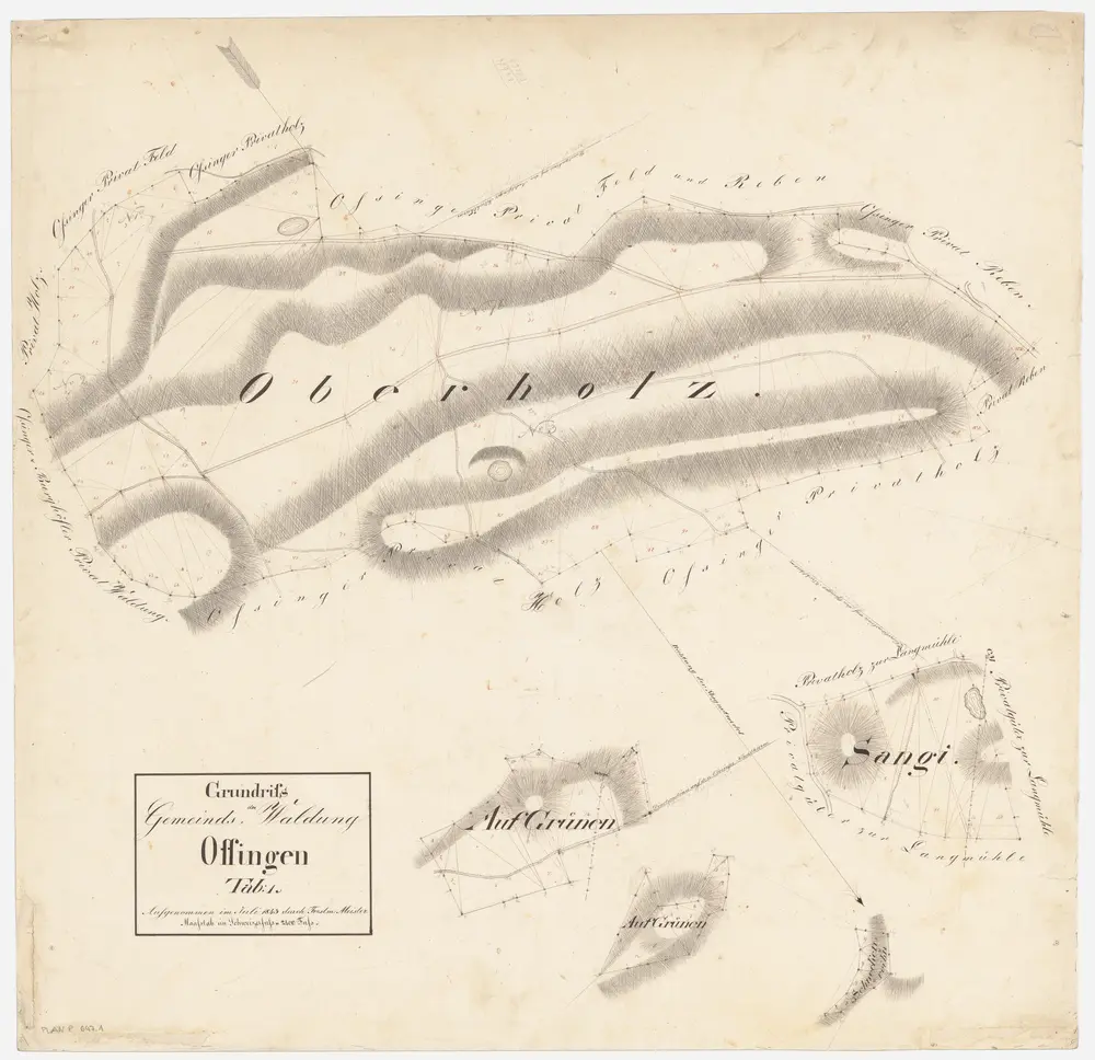 Ossingen: Gemeinde- und Staatswaldungen: Gemeindewaldungen Oberholz, Sangi, Grüenen (Grünen), Im Grüe, Schnäggenrain (Schneckenreihn); Grundrisse (Tab. I)