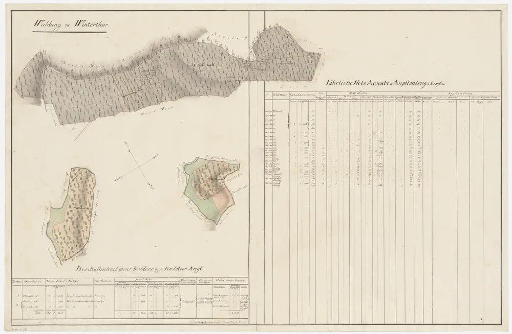 Seen: Dem Amt Winterthur gehörende Waldung (Waldbezirke Schartegg, Burghalden, Höhwald); Grundrisse (II. Planche)