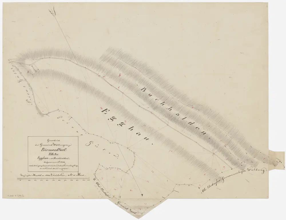 Birmensdorf: Gemeinde- und Genossenschaftswaldungen: Gemeindewaldungen Egghau, Buehalden (Buchhalden); Grundriss (Tab. 2)