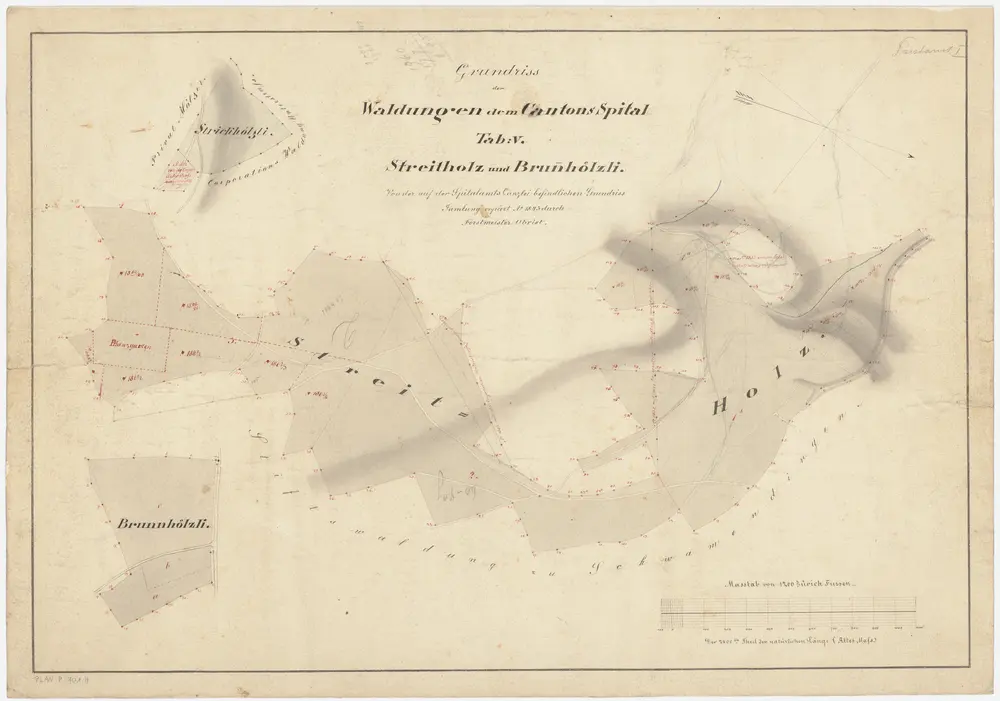 Hirslanden, Hottingen, Oberstrass, Schwamendingen, Zürich: Spital- und Staatswaldungen auf dem Zürichberg und dem Adlisberg: Oberstrass, Schwamendingen: Kantonsspitalwaldungen Streitholz, Brunnhölzli und Strickhölzli auf dem Zürichberg; Grundrisse (Tab. V)