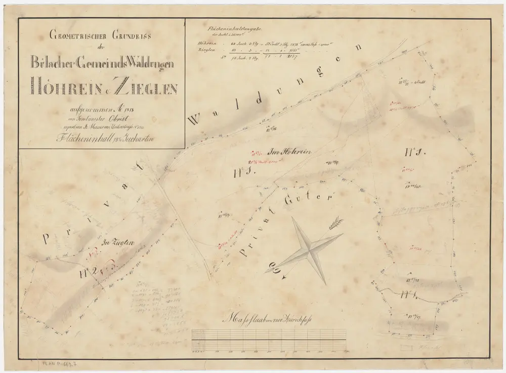 Bülach, Hochfelden: Gemeindewaldungen Bülach und Eschenmosen: Bülach: Höhrain (Höhrein), Zieglen; Grundriss