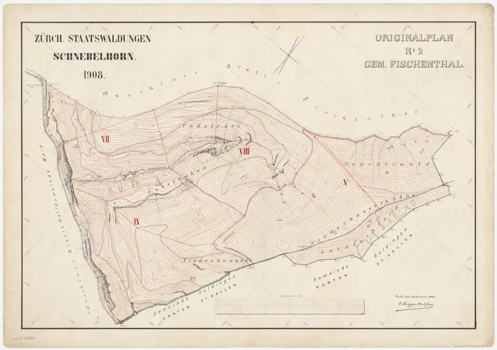 Wald, Fischenthal, Goldingen SG: Waldungen: Fischenthal: Staatswaldung Schnebelhorn; Grundriss (Originalplan Nr. 2)