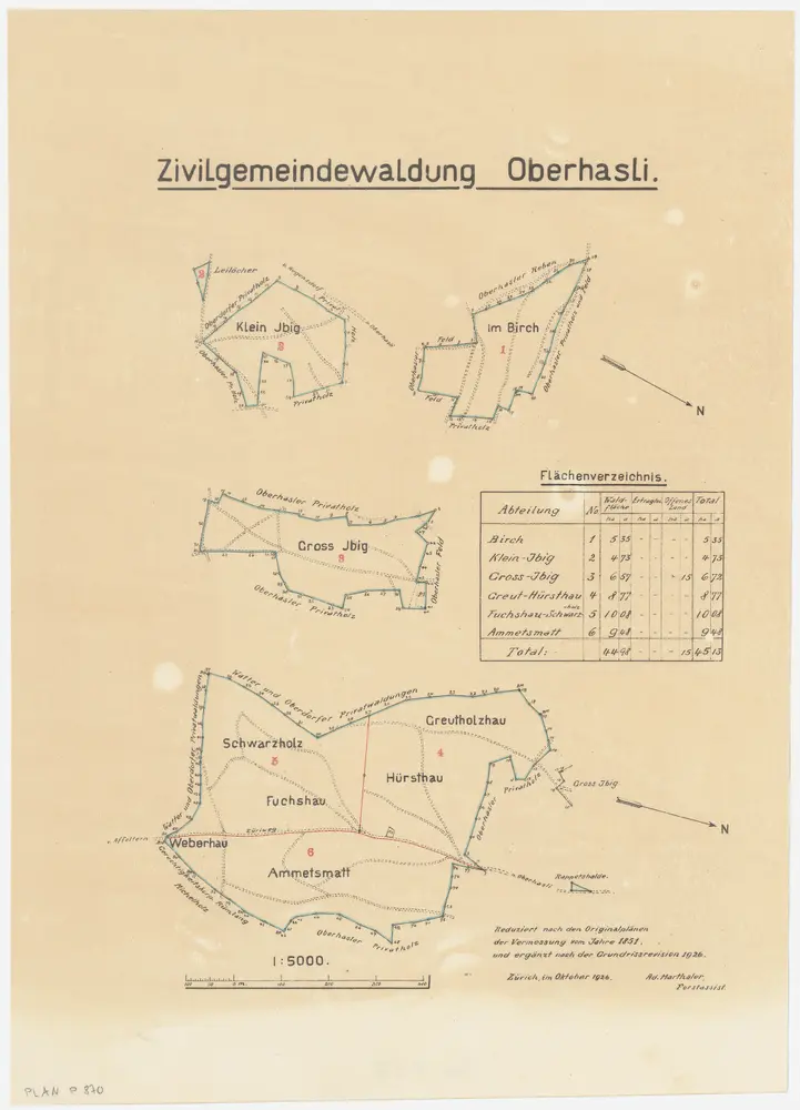 Niederhasli: Zivilgemeindewaldung Oberhasli mit Birch, Klein Ibig, Gross Ibig, Grüt (Greutholzhau), Schwarzholz, Fuchshau, Weberhau, Ametsmatt (Ammetsmatt); Grundrisse